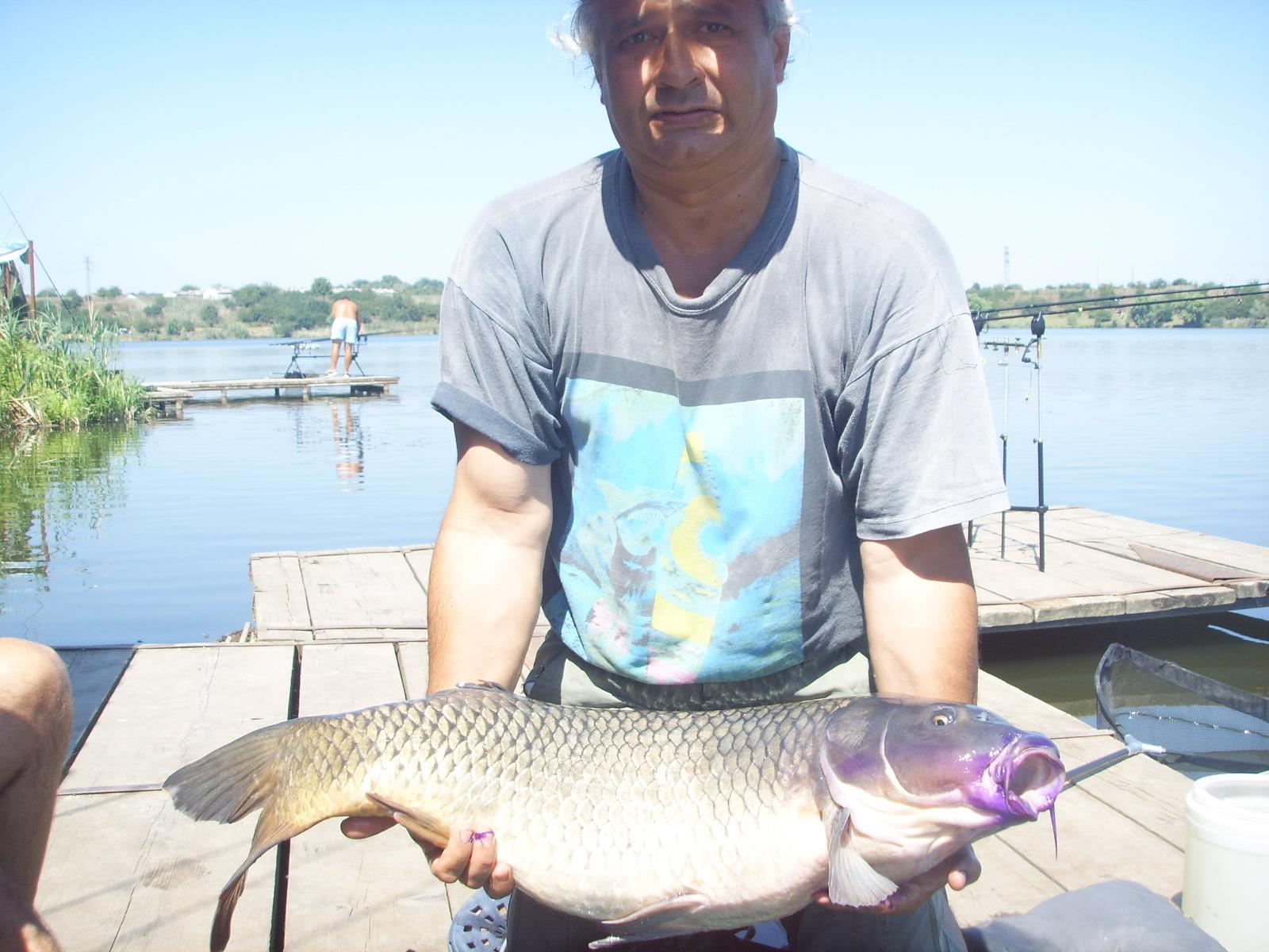 Diverse - ssl13743.JPG